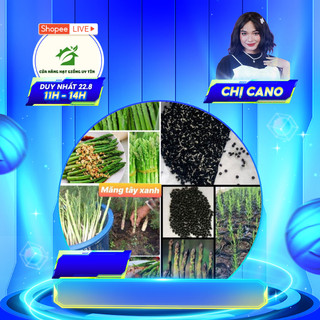 Hạt giống măng tây F1 (60 hạt) dễ trồng thu hoạch quanh năm 3 loại(Xanh, Tím, Trắng)