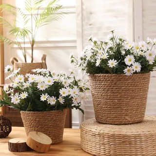 Cúc họa mi lụa, hoa giả cao cấp trang trí nhà