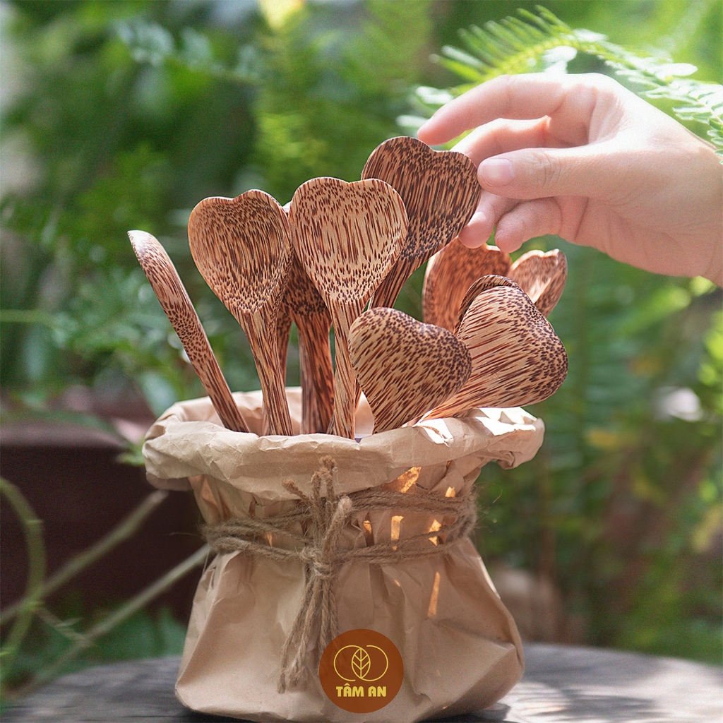 Muỗng Dừa Thân Thiện Môi Trường