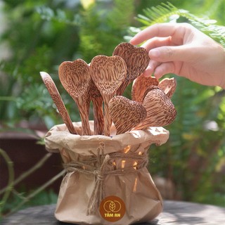 Muỗng Dừa Thân Thiện Môi Trường
