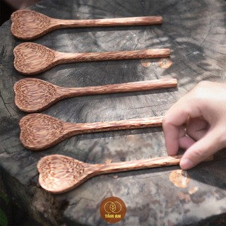 Muỗng Dừa Thân Thiện Môi Trường