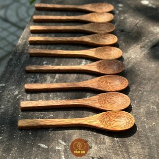 Muỗng Dừa Thân Thiện Môi Trường