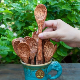 Muỗng Dừa Thân Thiện Môi Trường