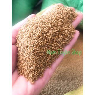   1kg Cám cá cảnh chép koi 3 đuôi 7 màu betta..đủ size 0.5 1 2 4 6 8 mm 