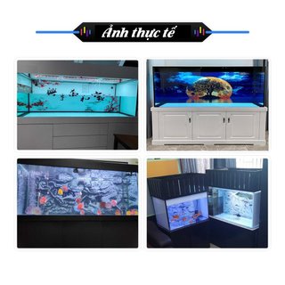 Tranh 3D Bể Cá Cảnh Mẫu Thác Nước - Tranh Bể Cá Sẵn Keo Dán - Tặng Kèm Bộ Dụng Cụ Dán