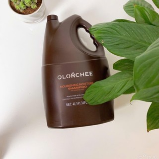 DẦU GỘI CAN 4 lít OLORCHEE