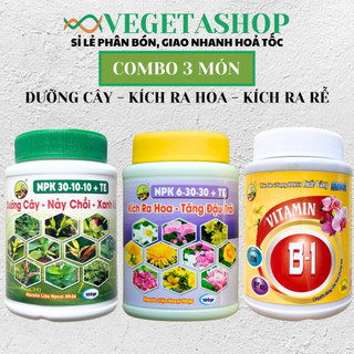 Bộ ComBo 3 Món DƯỠNG CÂY - KÍCH RA HOA - VITAMIN B1 Chuyên Dùng Cho Phong Lan Hoa Kiểng - Vegetashop