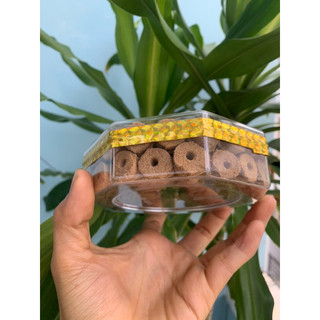 Nhang nụ trầm thiên ý