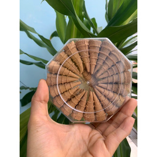 Nhang nụ trầm thiên ý