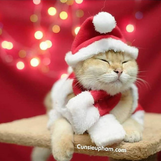 Mũ Noel đồ cosplay giáng sinh cho chó mèo