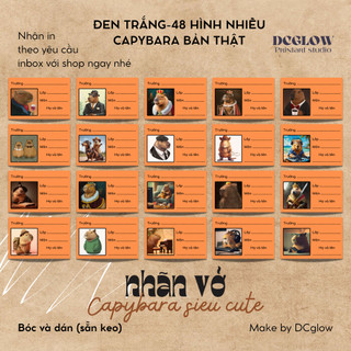 Set 48 Nhãn vở Capybara Meme (BẢN HÌNH THẬT) siêu đáng yêu, dễ thương bóc dán đơn giản - Sticker Nhãn Tập, Sách Cute