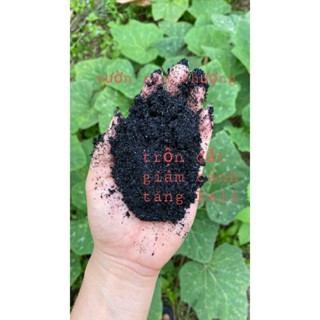 500g Mùn Xơ Dừa Và 5dm3 Tro Đen của Trấu Trộn Đất, Kết Hợp Cùng Đất Thịt , Phân,... Trồng cây