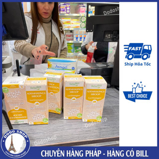 Bổ phổi cho trẻ em Herbalgem, dòng hữu cơ an toàn cho trẻ từ 6 tuổi_Dodoshop