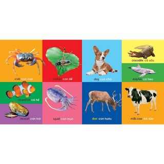 Sách: Combo 101 Từ Đầu Tiên /101 First Words ( Trọn Bộ 6 Cuốn)
