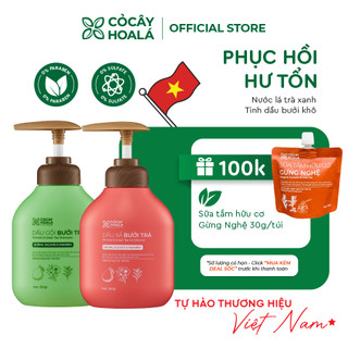 Dầu gội thảo dược cỏ cây hoa lá bưởi trà kích mọc tóc, phục hồi hư tổn 350gr