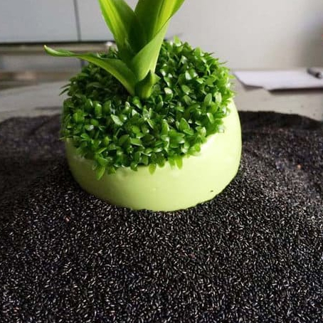 Hạt giống Cỏ may mắn { gói 1gram  tầm 500 hạt }