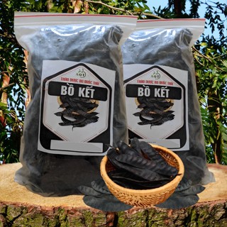 1Kg Trái Bồ Kết Gội Đầu, Xông Nhà