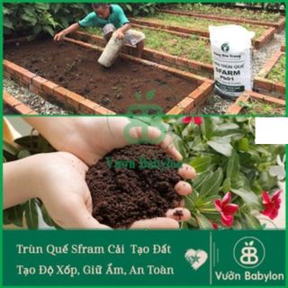 Phân Trùn Quế Đặng Gia Trang Bao 10kg