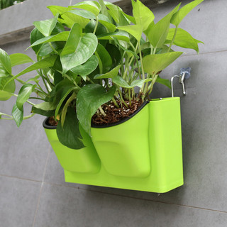 Chậu trồng cây vườn tường thông minh nhựa đẹp dẻo trồng cây trên tường, hàng rào