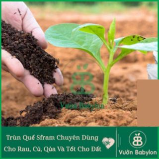 Phân Trùn Quế Đặng Gia Trang Bao 10kg