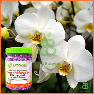 Phân bón tan chậm Rynan 200, phân NPK 31-08-08 tan chậm chuyên dùng cho hoa lan và hoa kiểng Vuonbabylon  - Hủ 150gram