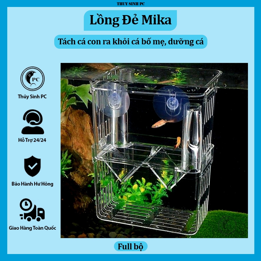 Lồng tách dưỡng cá cảnh Acrylic