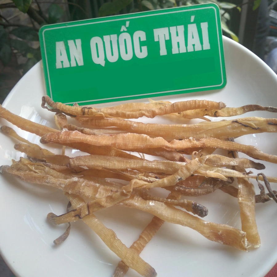 Sá Sùng Khô Nấu Phở 100g [Loại 1], Sạch Cát, Sá Sùng Nha Trang Nấu Nước Lèo Siêu Ngọt, Thơm Ngon
