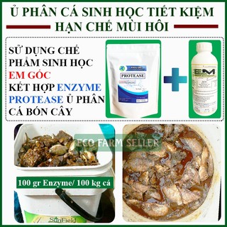 1 Gói 500gr Enzyme Protease Ủ Phân Cá