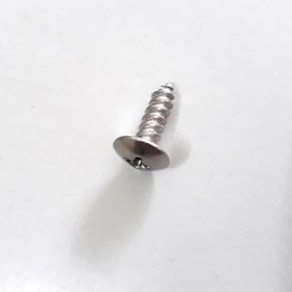 Ốc vít INOX M4 dàn áo xe máy (30 con)