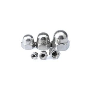 Đai ốc mũ inox, ecu mũ M6 (20 con)