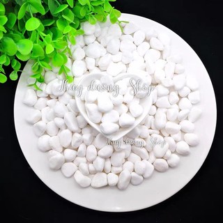 Sỏi trang trí bể cá, sỏi trang trí sân vườn
