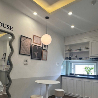 Đèn thả D300-D250-D200 thả bàn ăn , decor nhà hàng cafe chao cầu nhựa bề mặt bóng, sử dụng bóng đui xoáy e27 thông dụng
