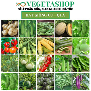 TỔNG HỢP HẠT GIỐNG RAU CỦ QUẢ CÁC LOẠI - DỄ TRỒNG DỄ MẦM -  NĂNG SUẤT CAO - HẠT GIỐNG KING PHƯƠNG ĐÔNG- VEGETASHOP