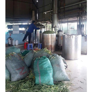 Tinh dầu sả chanh 10ml, khử mùi, làm thơm phòng, xua đuổi ruồi muỗi