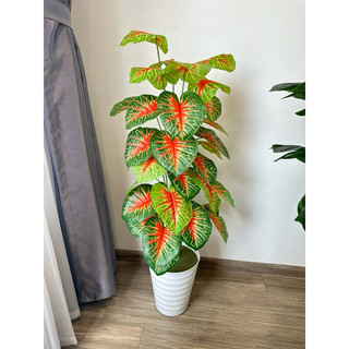 Cây môn đỏ cao 1m2- cây giả decor