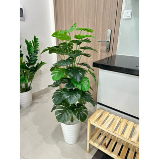 TRẦU BÀ LÁ XẺ 1M1- CÂY GIẢ DECOR
