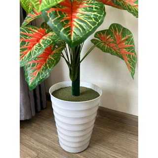 Cây môn đỏ cao 1m2- cây giả decor