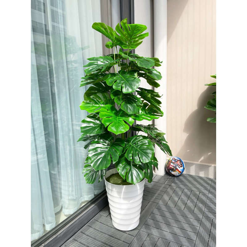 TRẦU BÀ LÁ XẺ 1M1- CÂY GIẢ DECOR