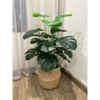 Cây trầu bà lá xẻ cao 70cm, cây giả decor trang trí nhà cửa, văn phòng, homestay