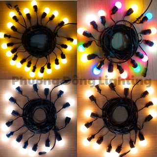 BỘ DÂY ĐUÔI ĐÈN TRANG TRÍ NGOÀI TRỜI KÍN NƯỚC + BÓNG LED CHANH 2W - TRẮNG/ VÀNG NẮNG/ ĐỦ MÀU