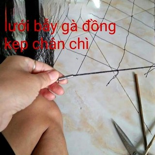 Lưới  Gà Rừng Dài 50m cao 2,5m