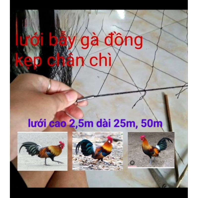 Lưới  Gà Rừng Dài 50m cao 2,5m