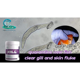KILL CZ11 (50g) - Bột KS Xử lý các vấn đề cho cá cảnh (Thuỷ mi, làm sạch thức ăn) - HÀNG CÔNG TY
