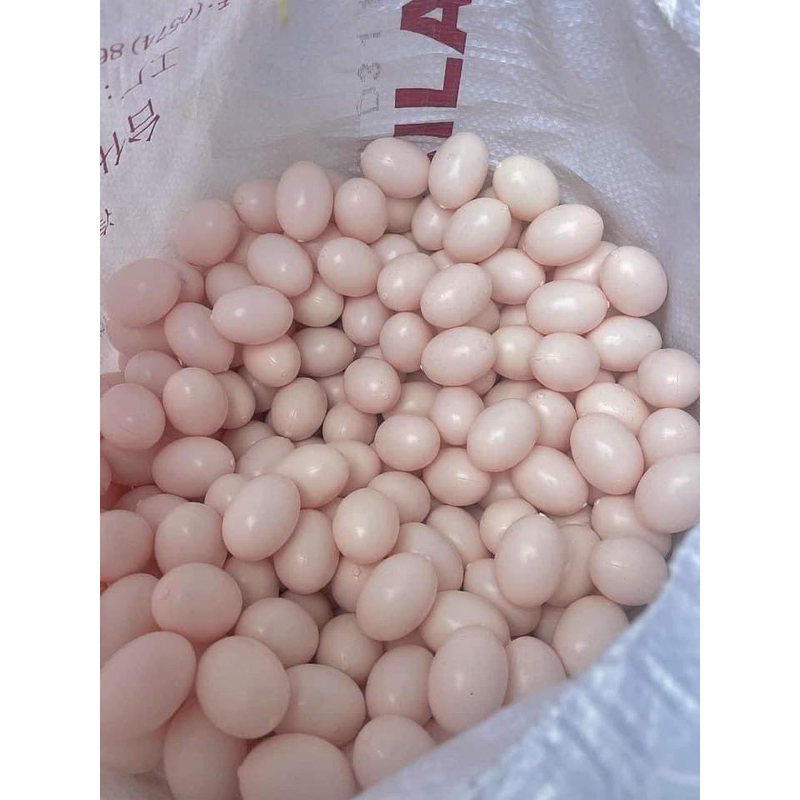 trứng nước  Bồ câu