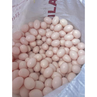 trứng nước  Bồ câu