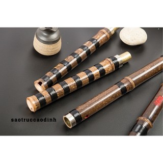  Trường Tiêu XiFeng 6607 động tiêu bát khổng trúc tím cao cấp 