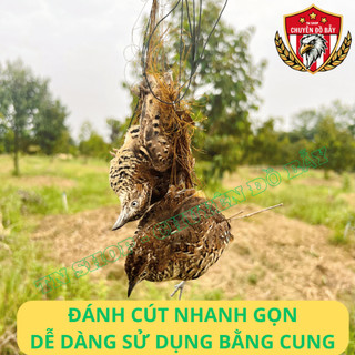 Cung bẫy cút bộ cung bẫy chim cút rừng