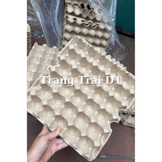 100 Vỉ giấy đựng trứng gà, khay trứng giấy, Hàng Mới Cứng (Hàng Việt Nam) dùng trang trí, đựng trứng, tô màu, nuôi dế,..