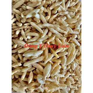 Mạch Môn Bắc (mạch môn đông) loại 1 [500g]