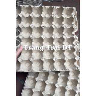 100 Vỉ giấy đựng trứng gà, khay trứng giấy (Hàng Việt Nam) mới cứng Loại 2, dùng đựng trứng, trang trí, tô màu, nuôi dế.